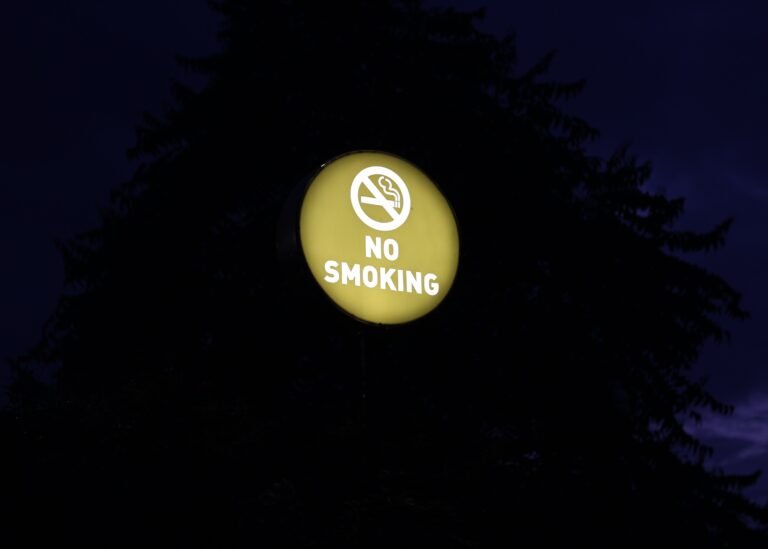 Na Mira: NO SMOKING in MoMA’s Kravis Studio